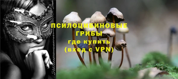 гидра Коряжма