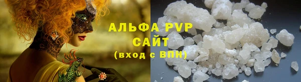 гидра Коряжма