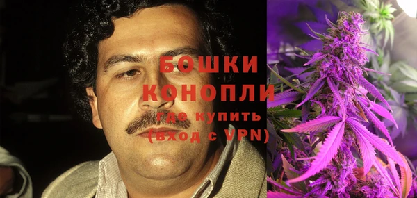 гидра Коряжма