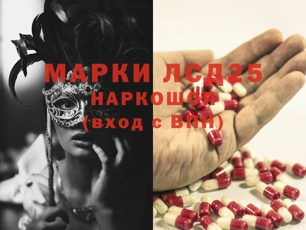гидра Коряжма