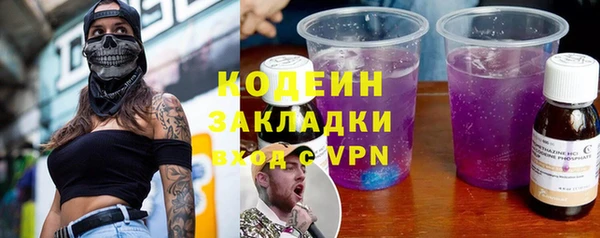 гидра Коряжма