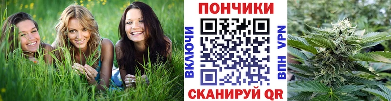 Купить где  Нижний Новгород  МАРИХУАНА гибрид 